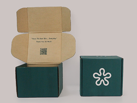 Airplane Shipping Box for Package